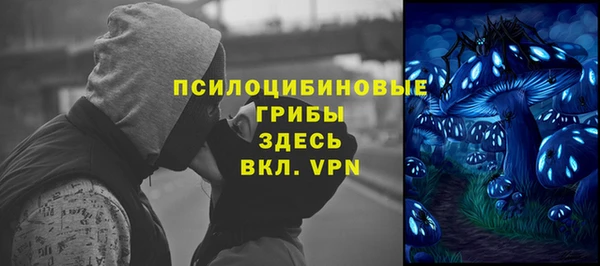 2c-b Белокуриха