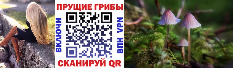 Псилоцибиновые грибы мухоморы  Арзамас 